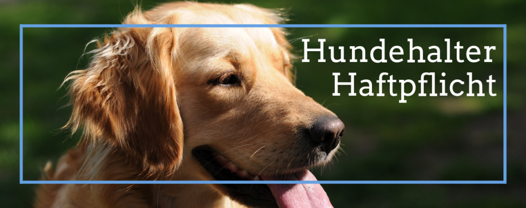 Hundehalter Haftpflicht