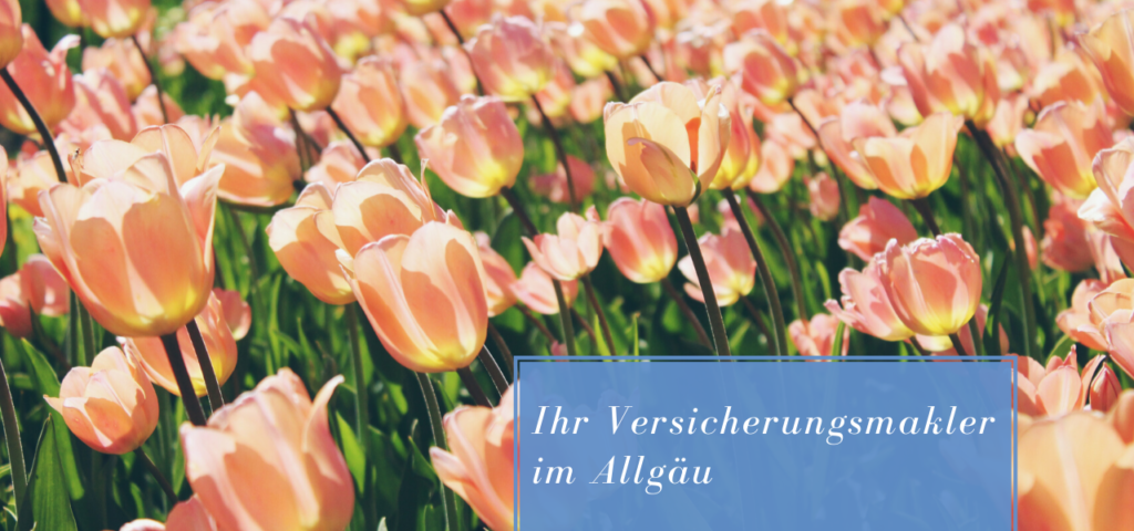 Versicherungsmakler Allgäu Frühling