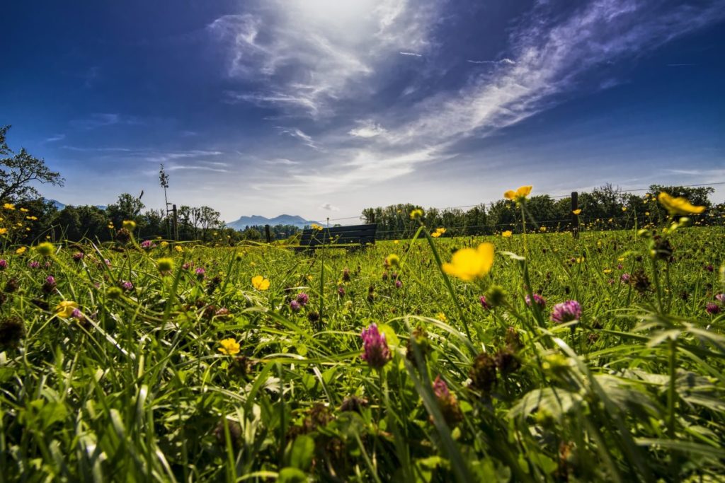 Allgäu Kaufbeuren